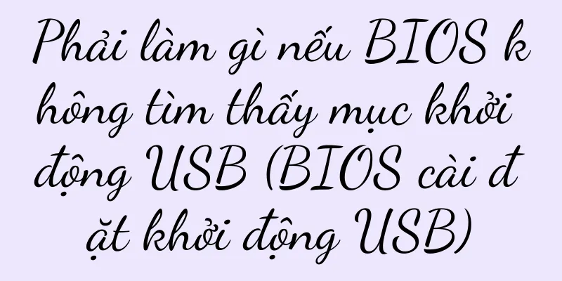Phải làm gì nếu BIOS không tìm thấy mục khởi động USB (BIOS cài đặt khởi động USB)