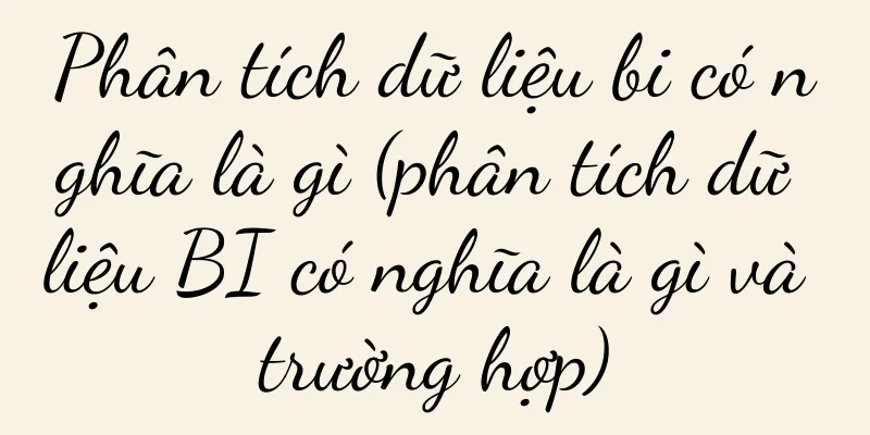 Phân tích dữ liệu bi có nghĩa là gì (phân tích dữ liệu BI có nghĩa là gì và trường hợp)
