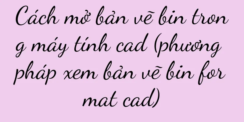 Cách mở bản vẽ bin trong máy tính cad (phương pháp xem bản vẽ bin format cad)