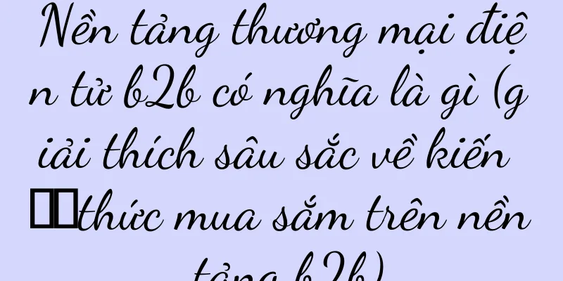 Nền tảng thương mại điện tử b2b có nghĩa là gì (giải thích sâu sắc về kiến ​​thức mua sắm trên nền tảng b2b)
