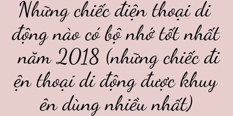 Những chiếc điện thoại di động nào có bộ nhớ tốt nhất năm 2018 (những chiếc điện thoại di động được khuyên dùng nhiều nhất)