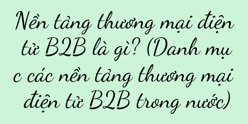 Nền tảng thương mại điện tử B2B là gì? (Danh mục các nền tảng thương mại điện tử B2B trong nước)