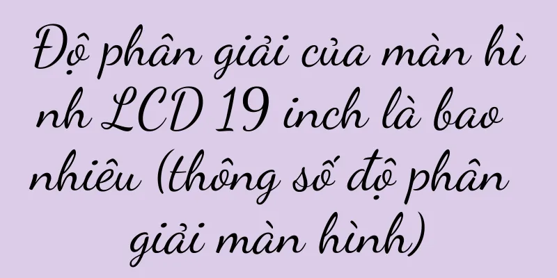 Độ phân giải của màn hình LCD 19 inch là bao nhiêu (thông số độ phân giải màn hình)