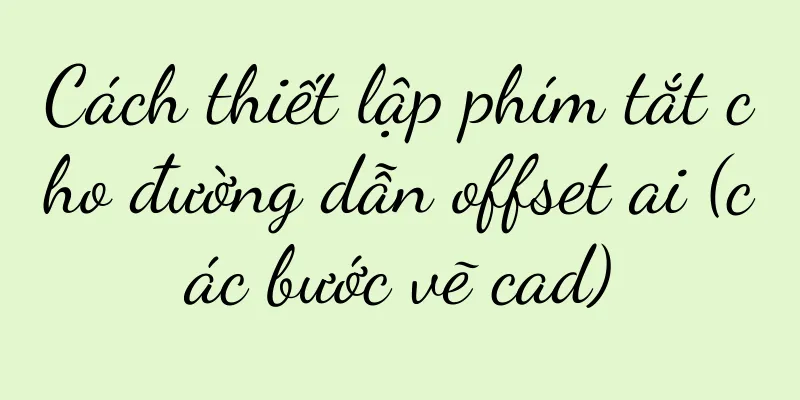 Cách thiết lập phím tắt cho đường dẫn offset ai (các bước vẽ cad)