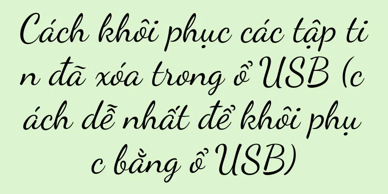 Cách khôi phục các tập tin đã xóa trong ổ USB (cách dễ nhất để khôi phục bằng ổ USB)