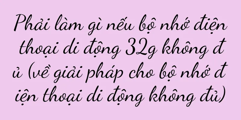 Phải làm gì nếu bộ nhớ điện thoại di động 32g không đủ (về giải pháp cho bộ nhớ điện thoại di động không đủ)