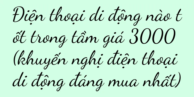 Điện thoại di động nào tốt trong tầm giá 3000 (khuyến nghị điện thoại di động đáng mua nhất)