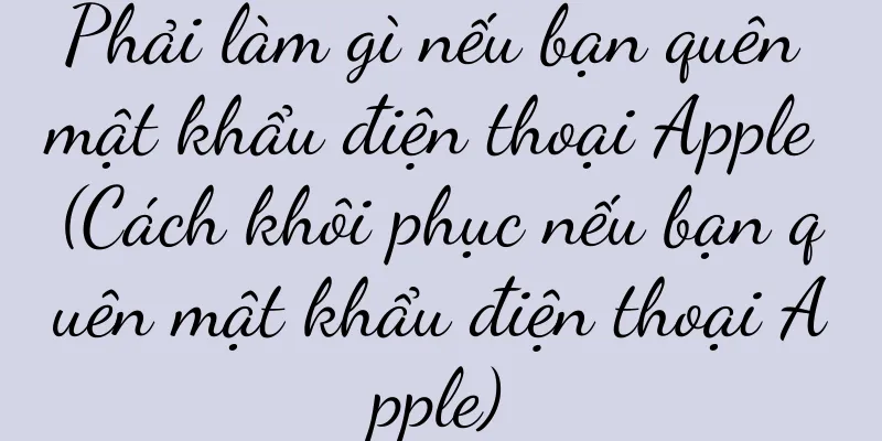 Phải làm gì nếu bạn quên mật khẩu điện thoại Apple (Cách khôi phục nếu bạn quên mật khẩu điện thoại Apple)