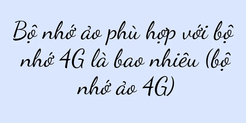 Bộ nhớ ảo phù hợp với bộ nhớ 4G là bao nhiêu (bộ nhớ ảo 4G)