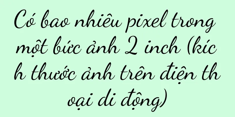 Có bao nhiêu pixel trong một bức ảnh 2 inch (kích thước ảnh trên điện thoại di động)