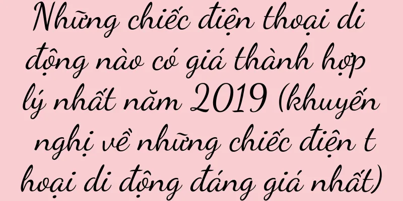 Những chiếc điện thoại di động nào có giá thành hợp lý nhất năm 2019 (khuyến nghị về những chiếc điện thoại di động đáng giá nhất)
