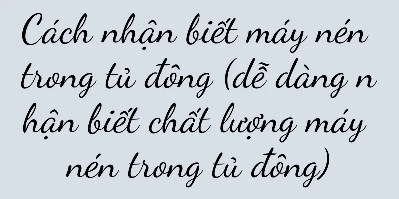 Cách nhận biết máy nén trong tủ đông (dễ dàng nhận biết chất lượng máy nén trong tủ đông)