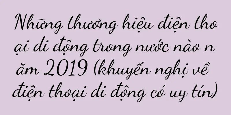 Những thương hiệu điện thoại di động trong nước nào năm 2019 (khuyến nghị về điện thoại di động có uy tín)