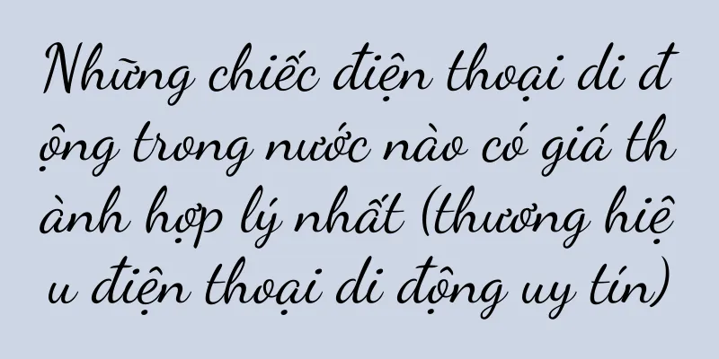 Những chiếc điện thoại di động trong nước nào có giá thành hợp lý nhất (thương hiệu điện thoại di động uy tín)