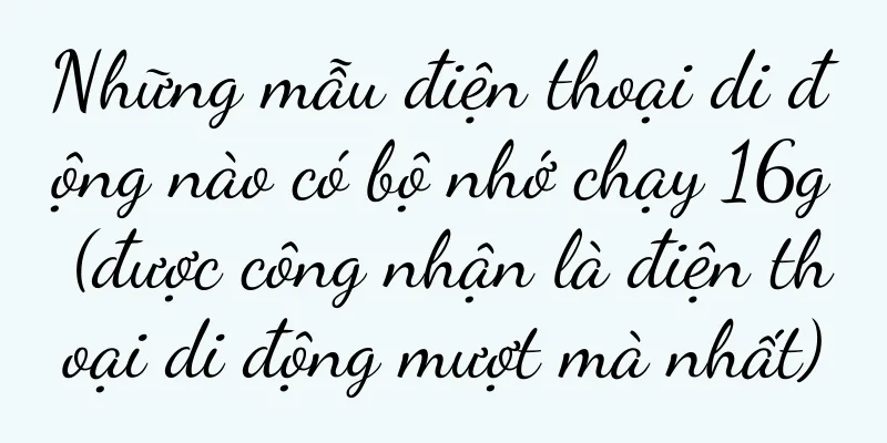 Những mẫu điện thoại di động nào có bộ nhớ chạy 16g (được công nhận là điện thoại di động mượt mà nhất)