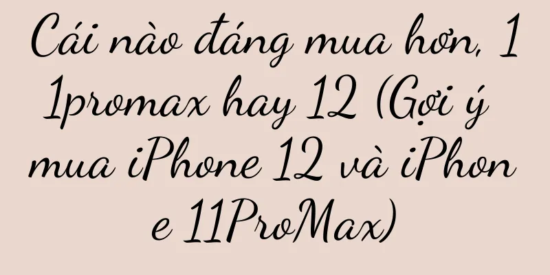 Cái nào đáng mua hơn, 11promax hay 12 (Gợi ý mua iPhone 12 và iPhone 11ProMax)
