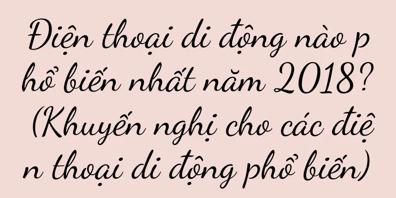 Điện thoại di động nào phổ biến nhất năm 2018? (Khuyến nghị cho các điện thoại di động phổ biến)