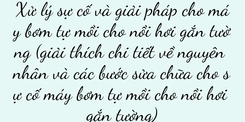 Xử lý sự cố và giải pháp cho máy bơm tự mồi cho nồi hơi gắn tường (giải thích chi tiết về nguyên nhân và các bước sửa chữa cho sự cố máy bơm tự mồi cho nồi hơi gắn tường)