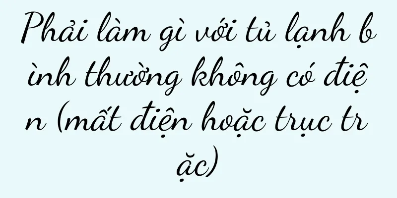 Phải làm gì với tủ lạnh bình thường không có điện (mất điện hoặc trục trặc)