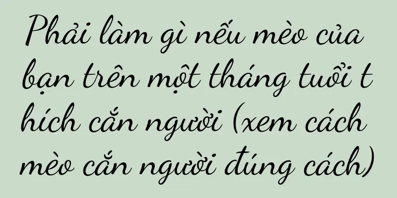 Phải làm gì nếu mèo của bạn trên một tháng tuổi thích cắn người (xem cách mèo cắn người đúng cách)