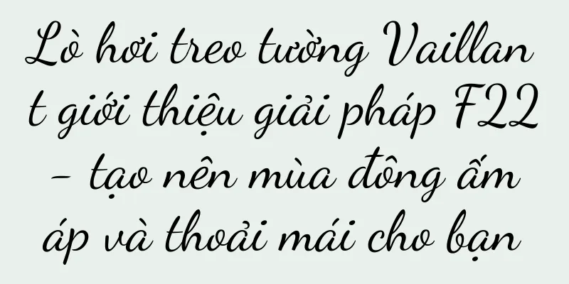 Lò hơi treo tường Vaillant giới thiệu giải pháp F22 - tạo nên mùa đông ấm áp và thoải mái cho bạn