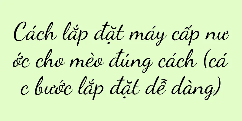 Cách lắp đặt máy cấp nước cho mèo đúng cách (các bước lắp đặt dễ dàng)