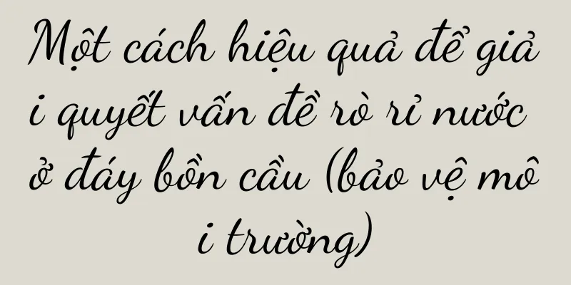 Một cách hiệu quả để giải quyết vấn đề rò rỉ nước ở đáy bồn cầu (bảo vệ môi trường)
