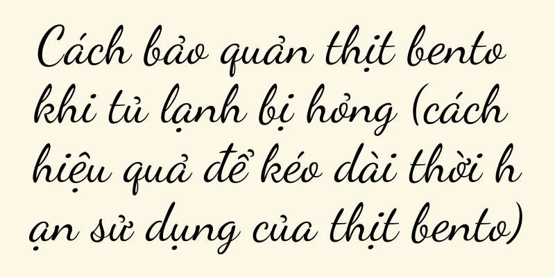 Cách bảo quản thịt bento khi tủ lạnh bị hỏng (cách hiệu quả để kéo dài thời hạn sử dụng của thịt bento)