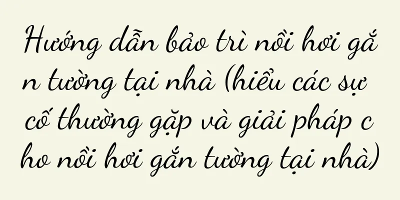Hướng dẫn bảo trì nồi hơi gắn tường tại nhà (hiểu các sự cố thường gặp và giải pháp cho nồi hơi gắn tường tại nhà)