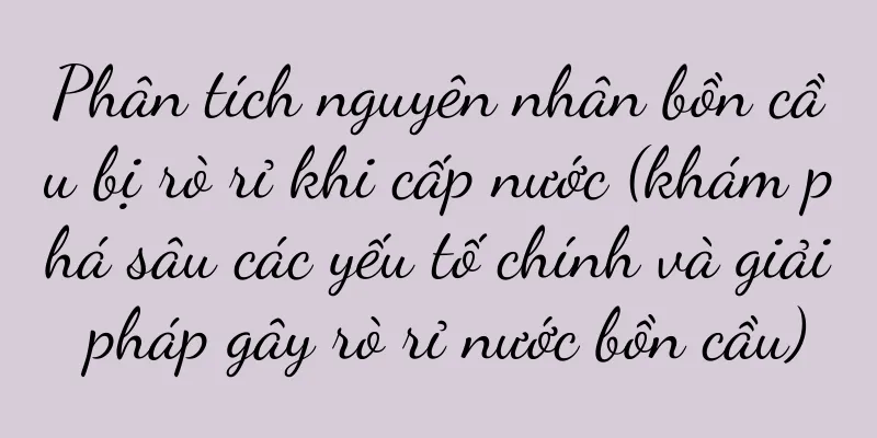 Phân tích nguyên nhân bồn cầu bị rò rỉ khi cấp nước (khám phá sâu các yếu tố chính và giải pháp gây rò rỉ nước bồn cầu)