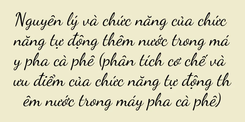 Nguyên lý và chức năng của chức năng tự động thêm nước trong máy pha cà phê (phân tích cơ chế và ưu điểm của chức năng tự động thêm nước trong máy pha cà phê)