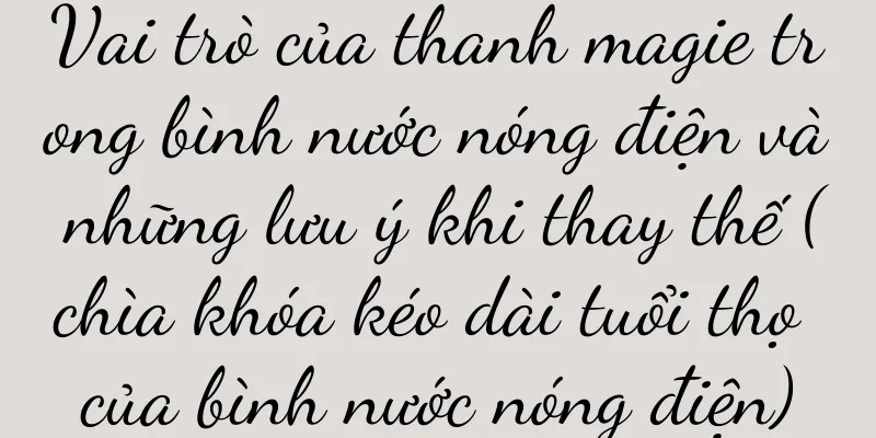 Vai trò của thanh magie trong bình nước nóng điện và những lưu ý khi thay thế (chìa khóa kéo dài tuổi thọ của bình nước nóng điện)