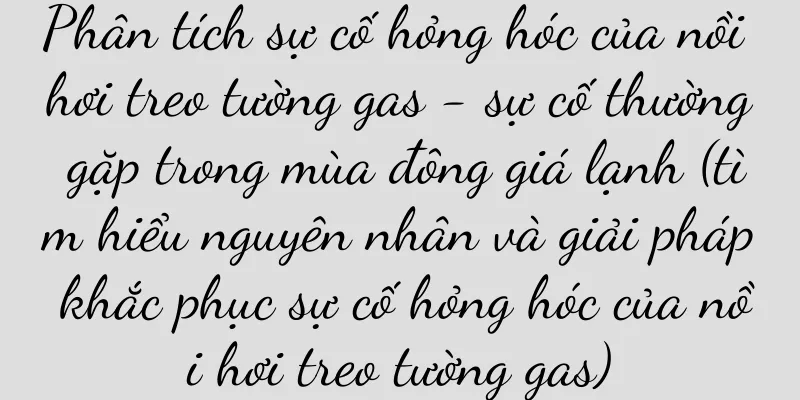 Phân tích sự cố hỏng hóc của nồi hơi treo tường gas - sự cố thường gặp trong mùa đông giá lạnh (tìm hiểu nguyên nhân và giải pháp khắc phục sự cố hỏng hóc của nồi hơi treo tường gas)