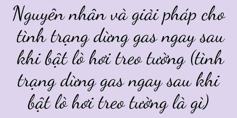 Nguyên nhân và giải pháp cho tình trạng dừng gas ngay sau khi bật lò hơi treo tường (tình trạng dừng gas ngay sau khi bật lò hơi treo tường là gì)