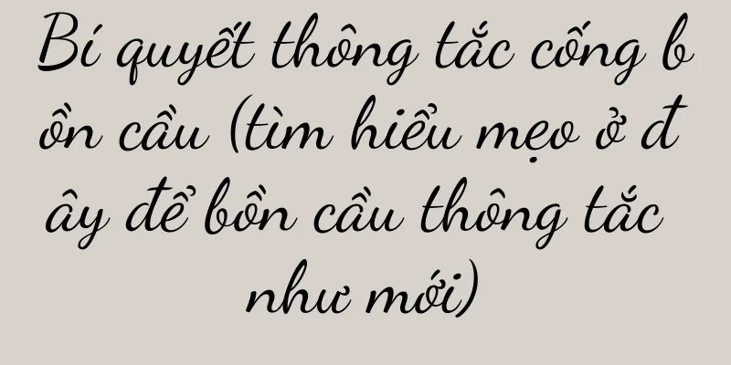 Bí quyết thông tắc cống bồn cầu (tìm hiểu mẹo ở đây để bồn cầu thông tắc như mới)