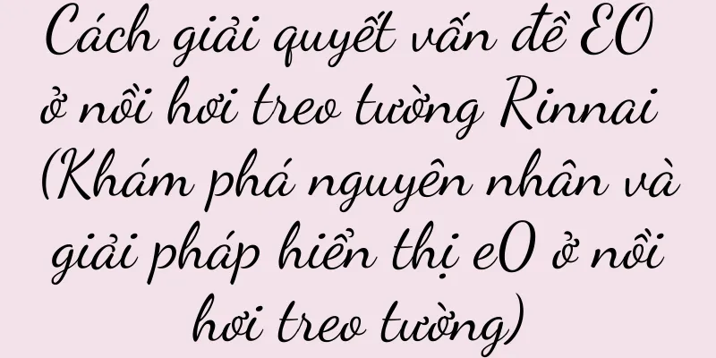 Cách giải quyết vấn đề EO ở nồi hơi treo tường Rinnai (Khám phá nguyên nhân và giải pháp hiển thị e0 ở nồi hơi treo tường)
