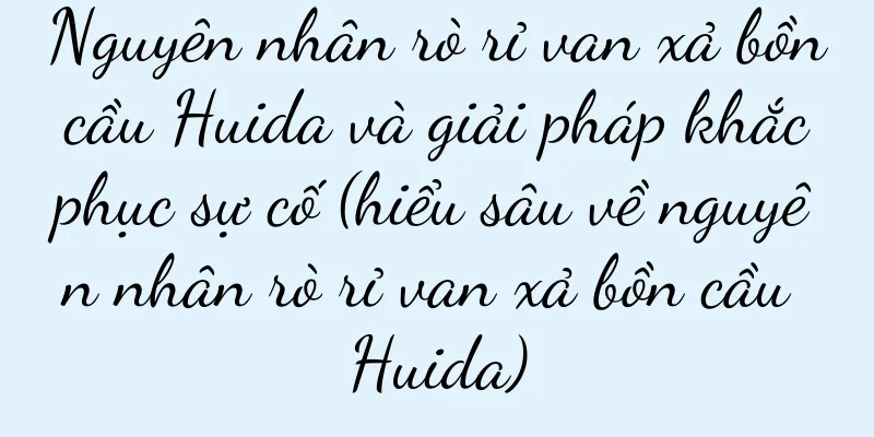 Nguyên nhân rò rỉ van xả bồn cầu Huida và giải pháp khắc phục sự cố (hiểu sâu về nguyên nhân rò rỉ van xả bồn cầu Huida)