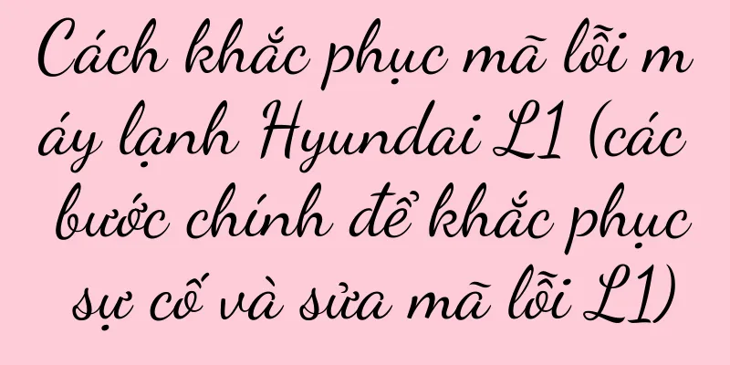 Cách khắc phục mã lỗi máy lạnh Hyundai L1 (các bước chính để khắc phục sự cố và sửa mã lỗi L1)