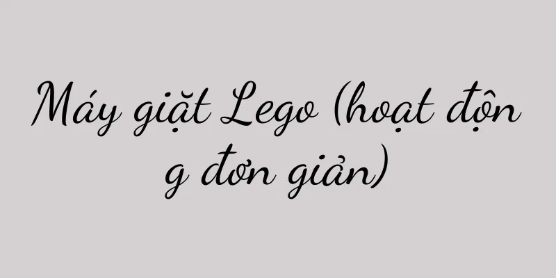 Máy giặt Lego (hoạt động đơn giản)
