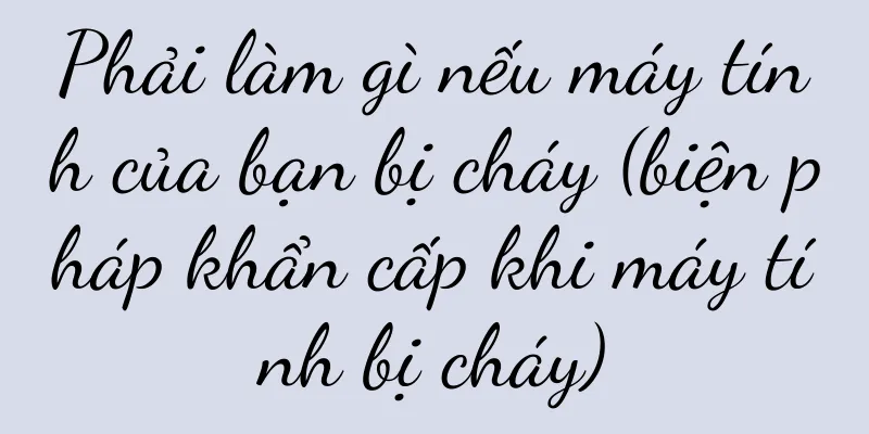 Phải làm gì nếu máy tính của bạn bị cháy (biện pháp khẩn cấp khi máy tính bị cháy)