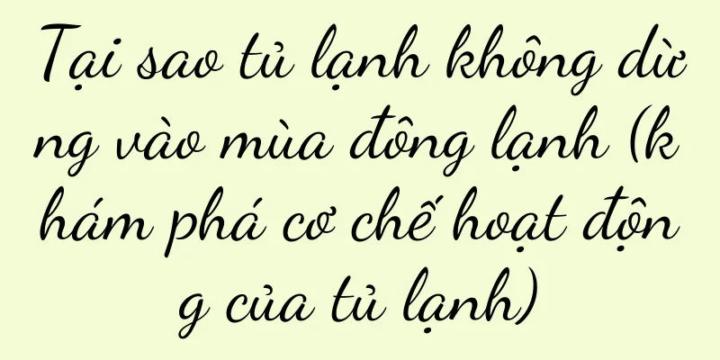 Tại sao tủ lạnh không dừng vào mùa đông lạnh (khám phá cơ chế hoạt động của tủ lạnh)
