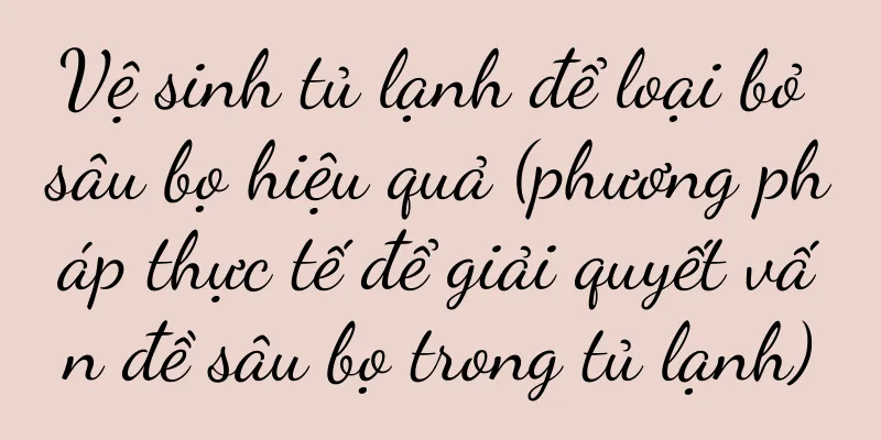 Vệ sinh tủ lạnh để loại bỏ sâu bọ hiệu quả (phương pháp thực tế để giải quyết vấn đề sâu bọ trong tủ lạnh)