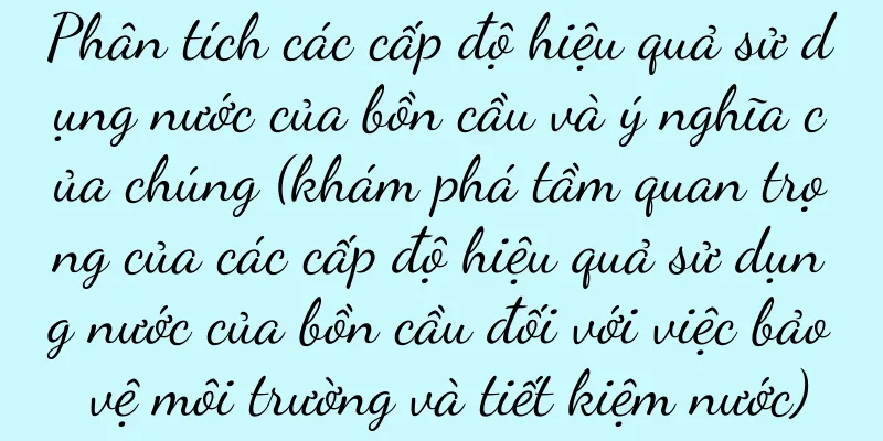 Phân tích các cấp độ hiệu quả sử dụng nước của bồn cầu và ý nghĩa của chúng (khám phá tầm quan trọng của các cấp độ hiệu quả sử dụng nước của bồn cầu đối với việc bảo vệ môi trường và tiết kiệm nước)