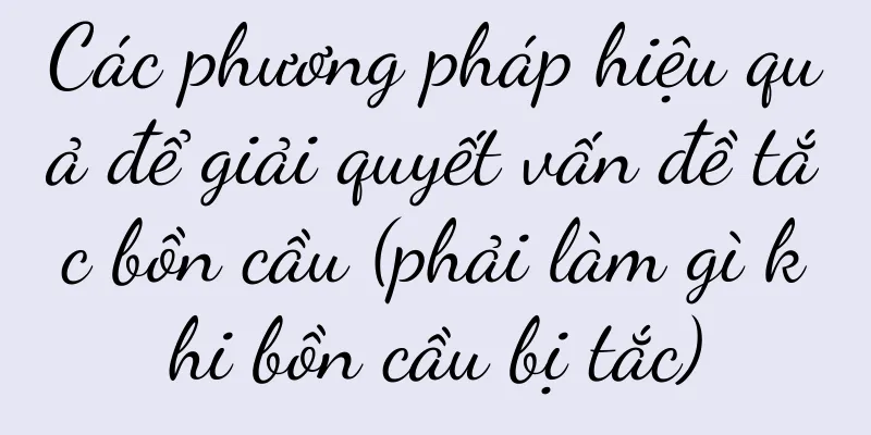 Các phương pháp hiệu quả để giải quyết vấn đề tắc bồn cầu (phải làm gì khi bồn cầu bị tắc)