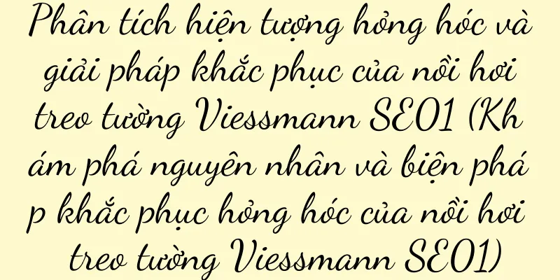 Phân tích hiện tượng hỏng hóc và giải pháp khắc phục của nồi hơi treo tường Viessmann SE01 (Khám phá nguyên nhân và biện pháp khắc phục hỏng hóc của nồi hơi treo tường Viessmann SE01)