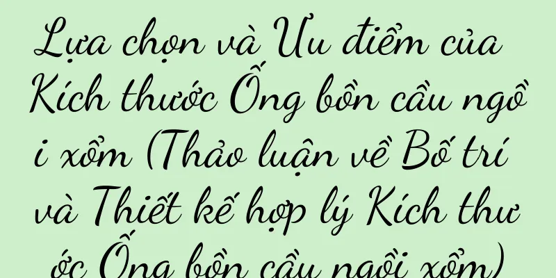 Lựa chọn và Ưu điểm của Kích thước Ống bồn cầu ngồi xổm (Thảo luận về Bố trí và Thiết kế hợp lý Kích thước Ống bồn cầu ngồi xổm)