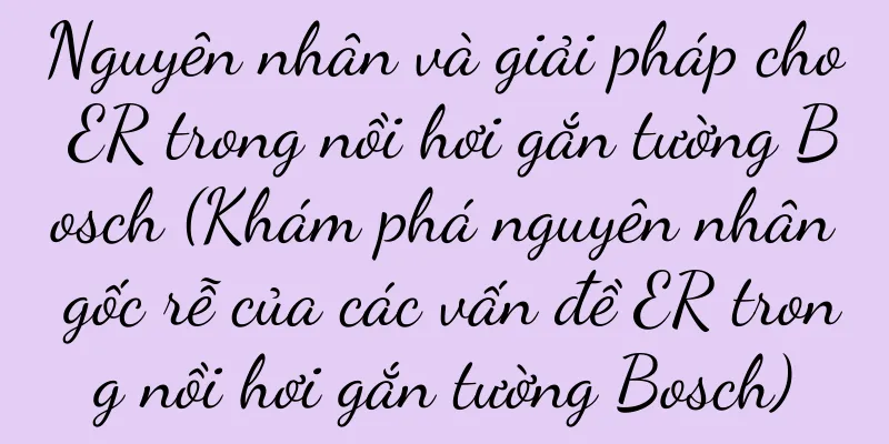Nguyên nhân và giải pháp cho ER trong nồi hơi gắn tường Bosch (Khám phá nguyên nhân gốc rễ của các vấn đề ER trong nồi hơi gắn tường Bosch)