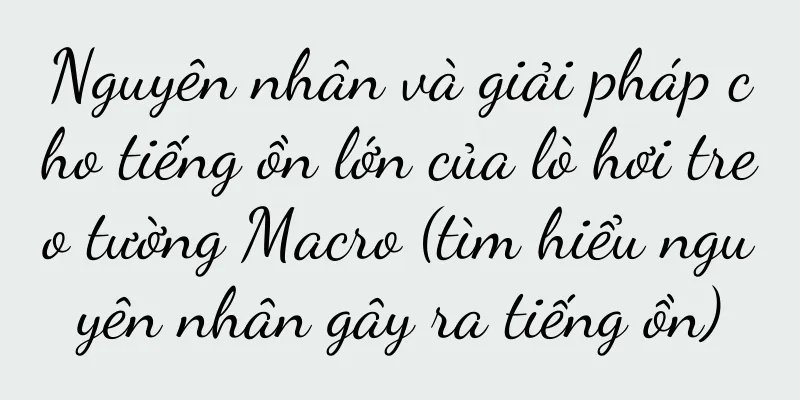 Nguyên nhân và giải pháp cho tiếng ồn lớn của lò hơi treo tường Macro (tìm hiểu nguyên nhân gây ra tiếng ồn)