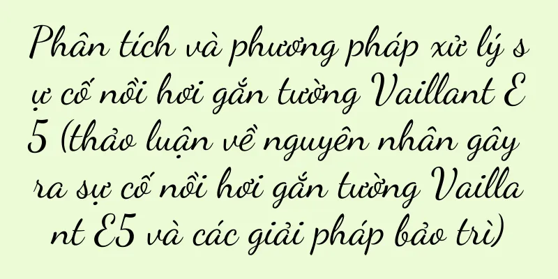 Phân tích và phương pháp xử lý sự cố nồi hơi gắn tường Vaillant E5 (thảo luận về nguyên nhân gây ra sự cố nồi hơi gắn tường Vaillant E5 và các giải pháp bảo trì)