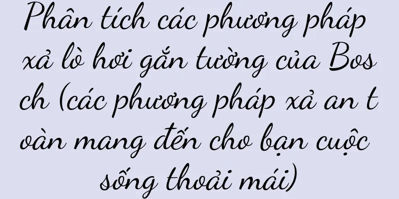 Phân tích các phương pháp xả lò hơi gắn tường của Bosch (các phương pháp xả an toàn mang đến cho bạn cuộc sống thoải mái)